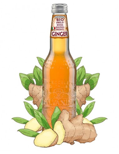 Ginger Bio Galvanina (35.5cl x 12)